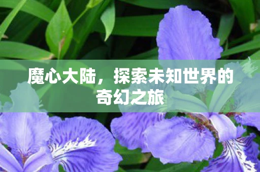 魔心大陆，探索未知世界的奇幻之旅