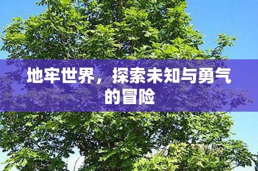 地牢世界，探索未知与勇气的冒险