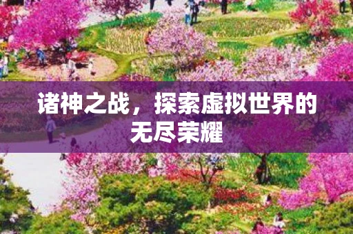 诸神之战，探索虚拟世界的无尽荣耀