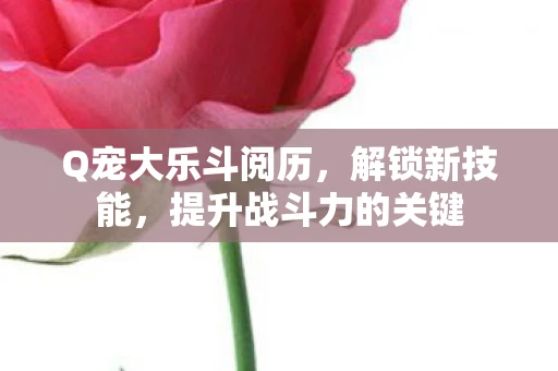 Q宠大乐斗阅历，解锁新技能，提升战斗力的关键