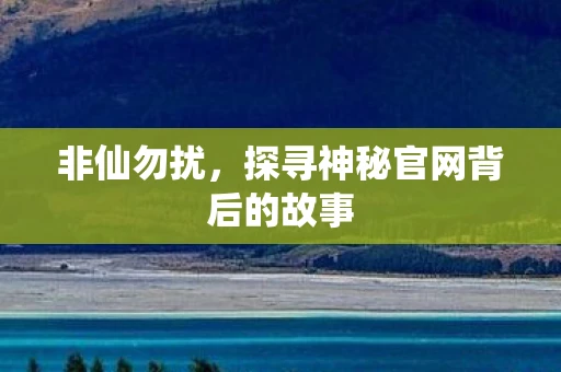非仙勿扰，探寻神秘官网背后的故事