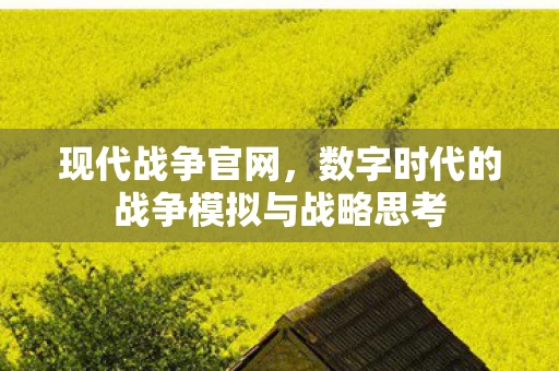现代战争官网，数字时代的战争模拟与战略思考