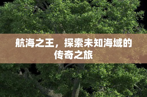 航海之王，探索未知海域的传奇之旅