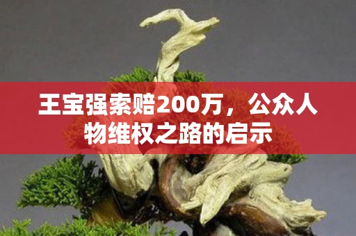 王宝强索赔200万，公众人物维权之路的启示