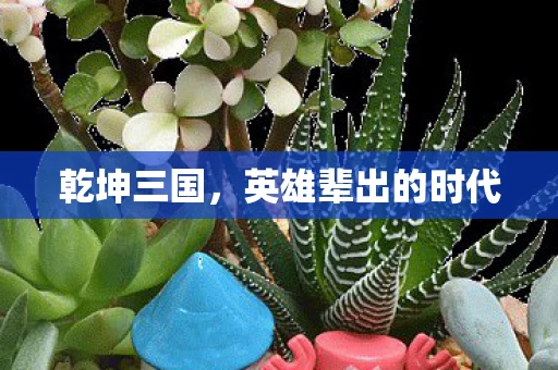 乾坤三国，英雄辈出的时代