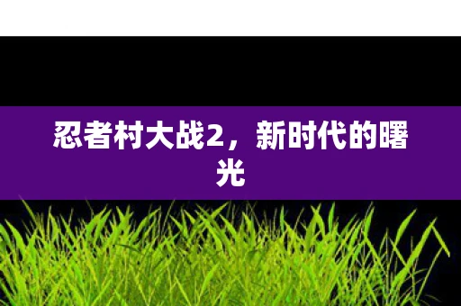 忍者村大战2，新时代的曙光