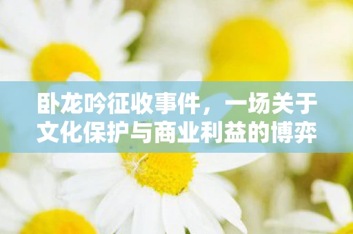 卧龙吟征收事件，一场关于文化保护与商业利益的博弈