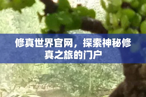 修真世界官网，探索神秘修真之旅的门户