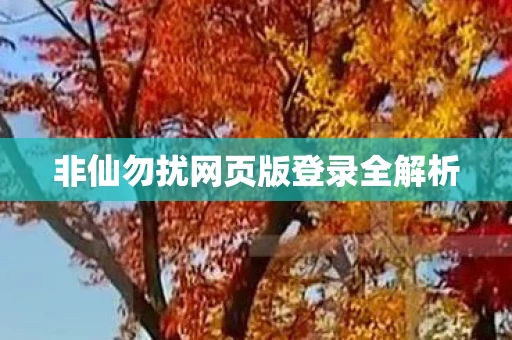 非仙勿扰网页版登录全解析