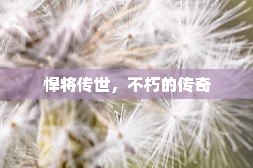 悍将传世，不朽的传奇