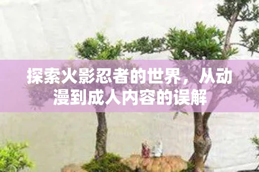 探索火影忍者的世界，从动漫到成人内容的误解