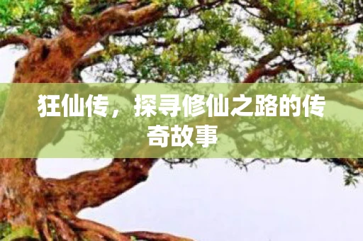 狂仙传，探寻修仙之路的传奇故事