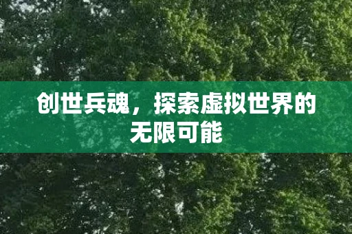 创世兵魂，探索虚拟世界的无限可能