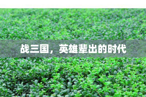 战三国，英雄辈出的时代