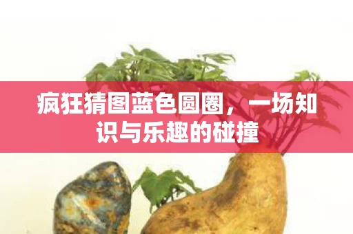 一场知识与乐趣的碰撞图片