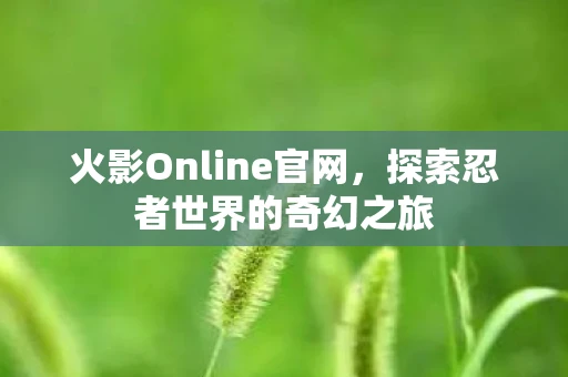 火影Online官网，探索忍者世界的奇幻之旅