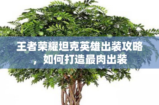 王者荣耀坦克英雄出装攻略图片