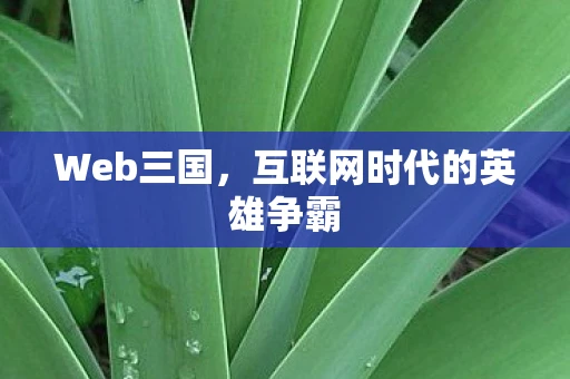 Web三国，互联网时代的英雄争霸