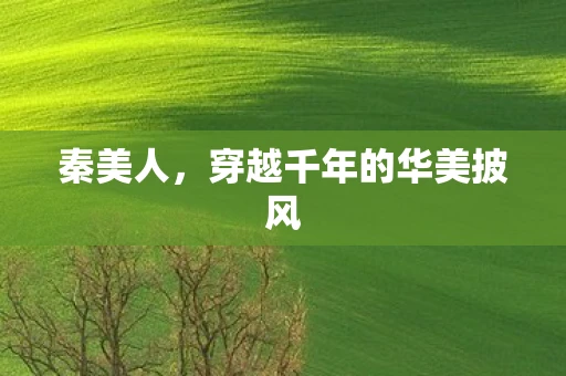 秦美人，穿越千年的华美披风