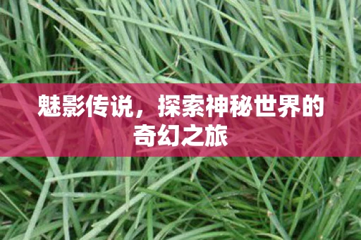 魅影传说，探索神秘世界的奇幻之旅