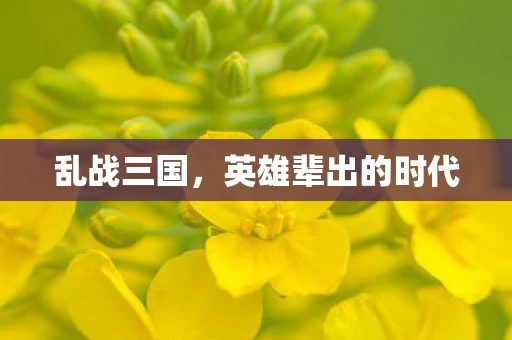 乱战三国，英雄辈出的时代