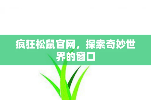 疯狂松鼠官网，探索奇妙世界的窗口