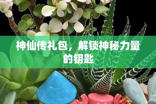 神仙传礼包，解锁神秘力量的钥匙