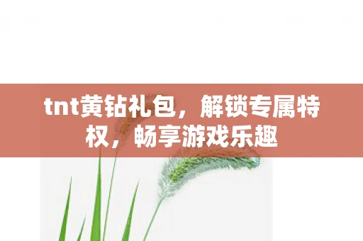 tnt黄钻礼包，解锁专属特权，畅享游戏乐趣