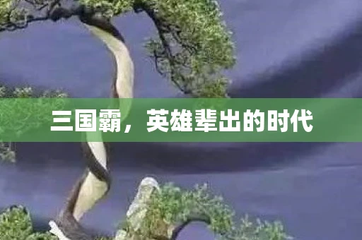 三国霸，英雄辈出的时代