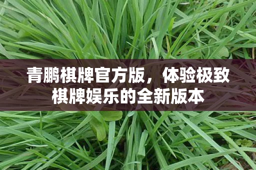 体验极致棋牌娱乐的全新版本图片