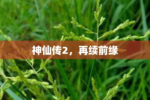 神仙传2，再续前缘