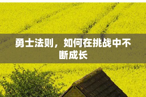 勇士法则，如何在挑战中不断成长