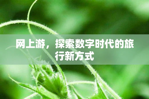 网上游，探索数字时代的旅行新方式
