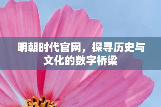 明朝时代官网，探寻历史与文化的数字桥梁