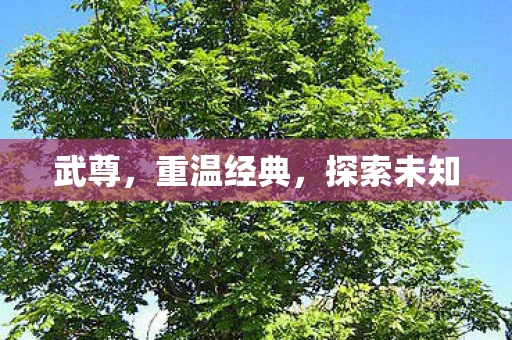 武尊，重温经典，探索未知