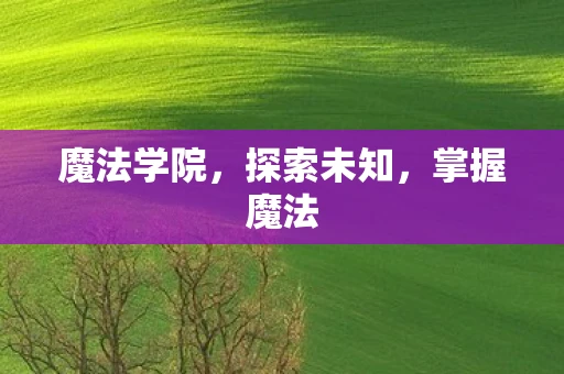魔法学院，探索未知，掌握魔法