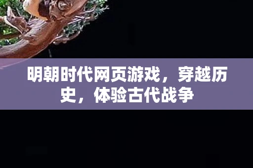 明朝时代网页游戏，穿越历史，体验古代战争