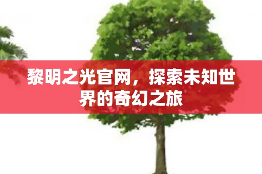 黎明之光官网，探索未知世界的奇幻之旅