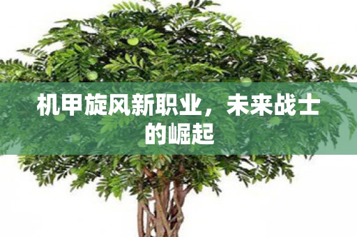 机甲旋风新职业，未来战士的崛起