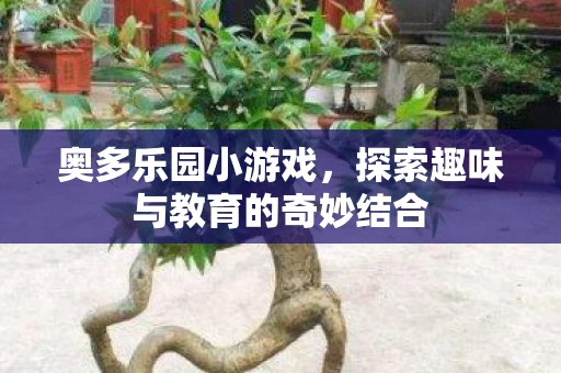奥多乐园小游戏，探索趣味与教育的奇妙结合