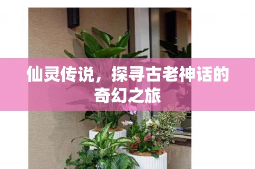 仙灵传说，探寻古老神话的奇幻之旅