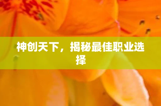 神创天下，揭秘最佳职业选择