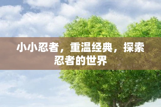 小小忍者，重温经典，探索忍者的世界