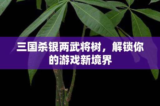 三国杀银两武将树，解锁你的游戏新境界