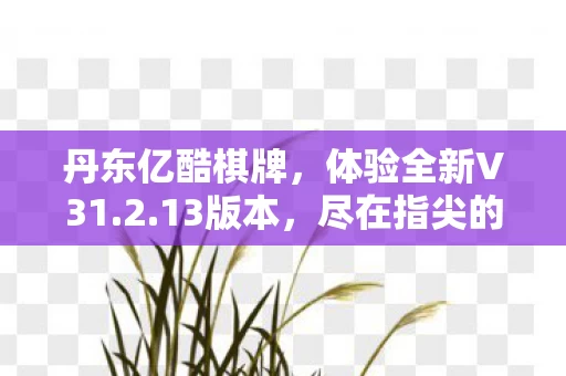 体验全新V31图片
