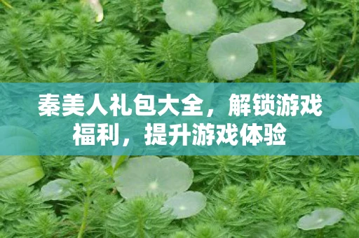 秦美人礼包大全，解锁游戏福利，提升游戏体验