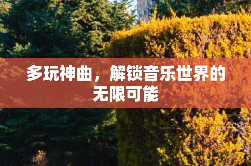 多玩神曲，解锁音乐世界的无限可能