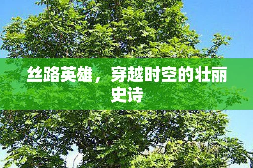 丝路英雄，穿越时空的壮丽史诗