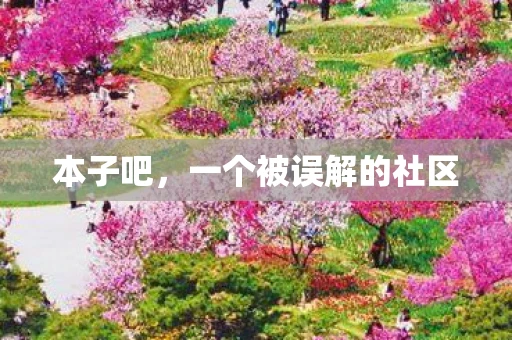 本子吧，一个被误解的社区