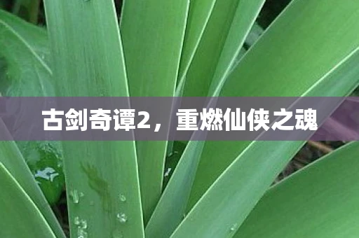 古剑奇谭2，重燃仙侠之魂